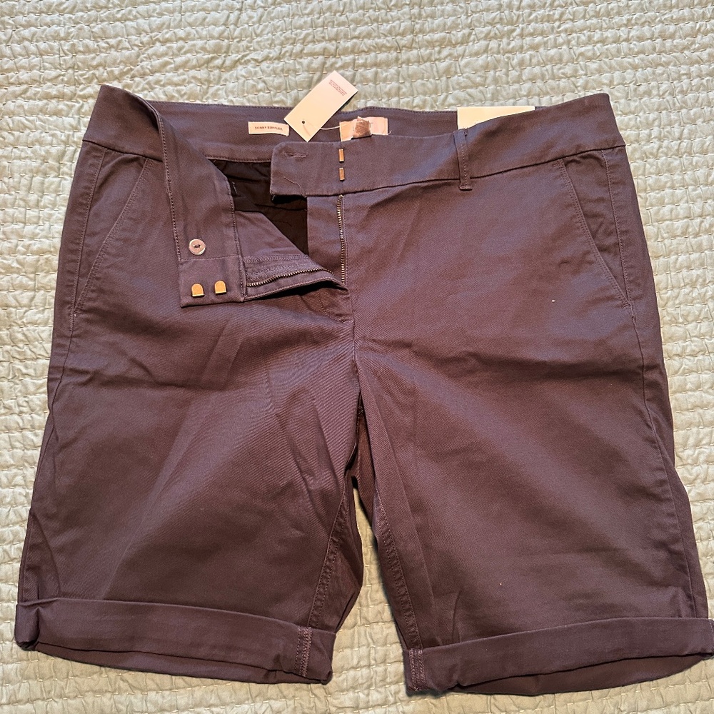 Loft Outlet Bermuda Roll Short Size 16 Womens NWT Navy